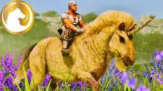 ARK’ın En Büyülü Canlısı ile Başladım! Ragnarok Serisi Başlıyor! Bölüm 1