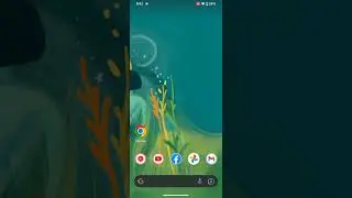 Lock Google Chrome incognito tabs using Fingerprint or Face ID 