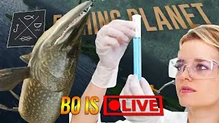 Road to 50! PIKE FARMING $$! (For Science!) |  Fishing Planet