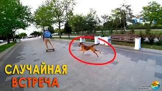 Моменты сёрфинга по паркам...