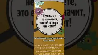 #shorts Какие бывают микроорганизмы