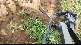 Запашка травостоя после весеннего фрезерования.