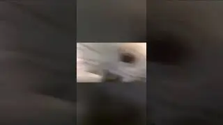 Старая мумия открывает глаза в стеклянном гробу в музее