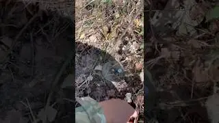 Дивіться під ноги