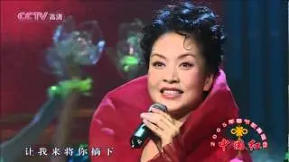茉莉花 05年春节歌舞晚会 现场版--彭丽媛.mp4