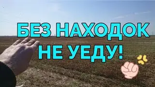 Коп по старине и поиск монет с металлоискателем АКА Беркут-5!