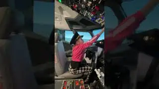 Boeing 737 Viki в кабине пилота