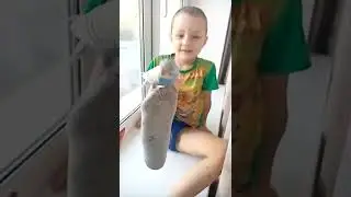 Наш любимый ручной попугайчик Гриша
