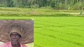 അന്നം തരുന്നവർ 🙏