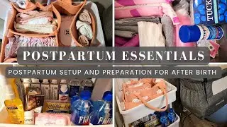 Postpartum Pregnancy Essentials featuring Frida Mom: Baby Necessities, Snacks, Personal Care & More