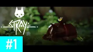 Stray 🙀 Кошачий киберпанк ◈ часть 1