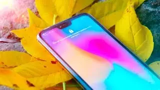Review Honor 10 Premium... Opinion after 3 months - a BUNCH of CONS!