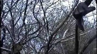 Land Of The Bad People - Incidental Time Travel [HQ]