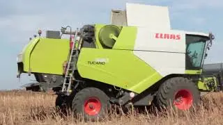 Уборка подсолнечника. CLAAS TUCANO 580.