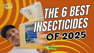 Top 6 Best Insecticides of 2025 According to an Exterminator