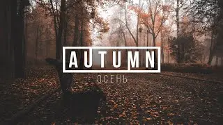 Autumn vibes: FL Studio Chill Out(Demo)#FLStudio #ChillBeats #AutumnVibes #MusicProduction