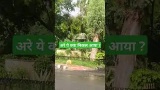 ये क्या आ गया भाई? #shorts #shortsviral #trending #viralshort #rain #cool #mausam #delhi #rainbow