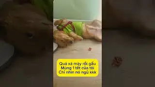 ngày 11 tháng 2, 2024