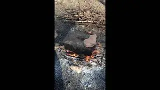 Как за коптить рыбу? ВСЁ ОЧЕНЬ ПРОСТО!!! Копчение рыбы в походных условиях ....