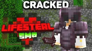 New BEST Cracked Public Lifesteal SMP (1.19 1.18 1.17)