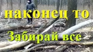 Узаконивание сбора Дров в лесу Обзор сбора голосов за петицию к Президенту