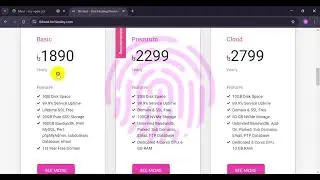 Domain & Hosting Provider company Website || wordpress