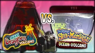 Aqua Dragons Volcano vs. Sea-Monkeys Ocean Volcano (Days 1-30)