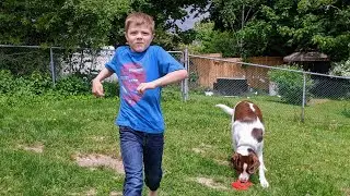 See Robert Run. Run Robert Run!