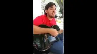 Como La Flor Cover (Acoustic) v2