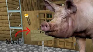 Story of a Pig (Noah)