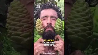 This Plant Produces UNLIMITED SHAMPOO!