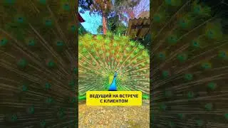 Сделай правильный выбор #shorts