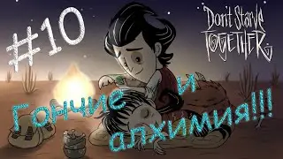 Don't Starve Together - #10 Гончие и алхимия