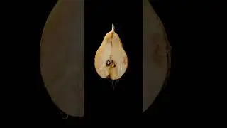 Как снять красиво на телефон
