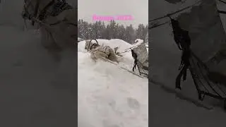 Снега навалило.Январь 2023