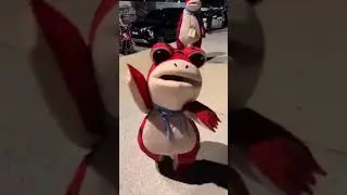 2024 Small Froggy