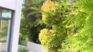 Коттедж комфорт-класса в живописном районе г.Сочи!
