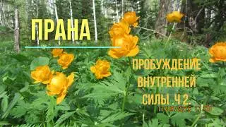 ПРАНА-пробуждение внутренней силы.Ч.2.