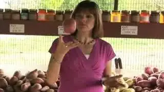 Brighter Living: Year of the Potato