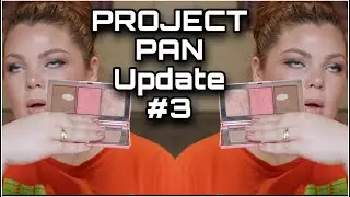 Project Pan 2020 update #3 // SO MANY PANS FINALLY!!!