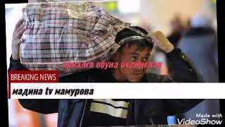 #алишер