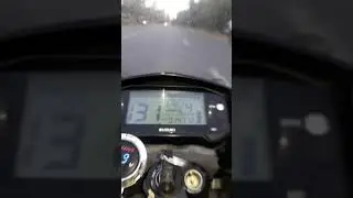 Stockrider