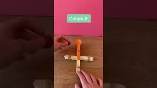 How To Build A Catapult for Kids | STEM Activities for Kids | 