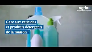 AGRIA - Gare aux raticides et produits détergents