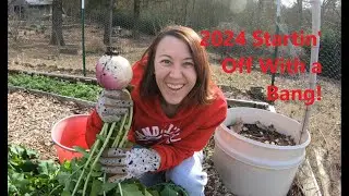 Early 2024 Harvest and Raised Bed Preparations #homesteadgarden