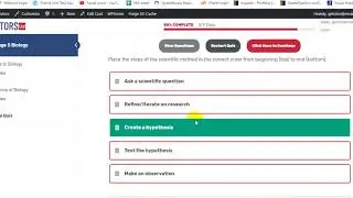 Learndash quiz correct & incorrect result after complete exam