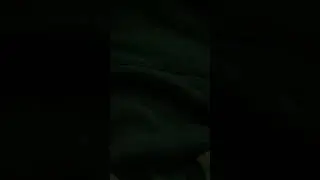 Александр Сергеевич Пушкин Чем меньше женщину мы любим