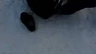 last year riding