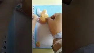Jurnal Bercerita Paper Squishy Si Piyo