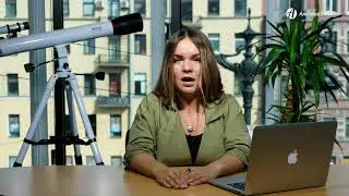 Сколько стоит упаковка франшизы?